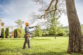 Best Tree and Shrub Care  in Honaker, VA