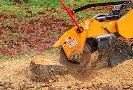 Best Stump Grinding and Removal  in Honaker, VA